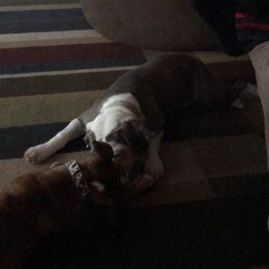 Meet your Posher, Amber